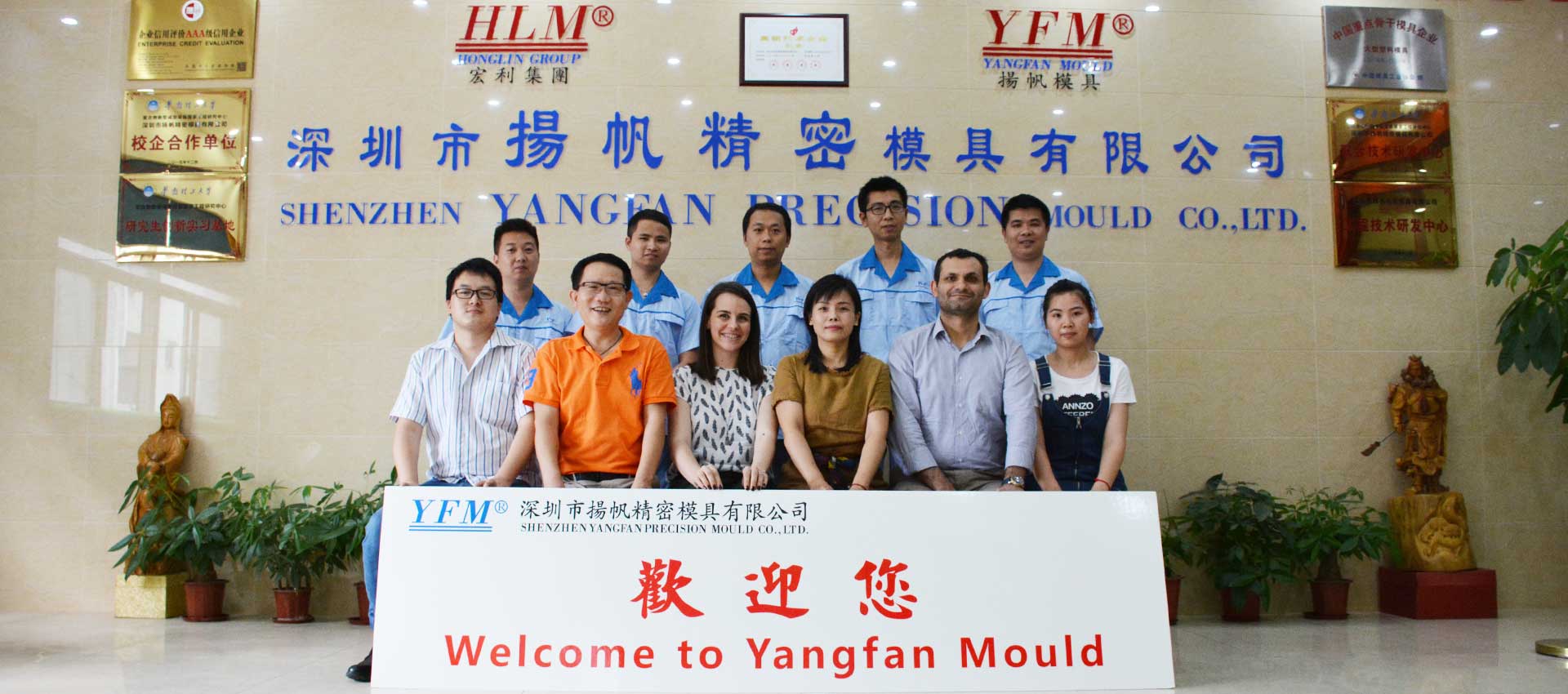 HLM Mold Partner