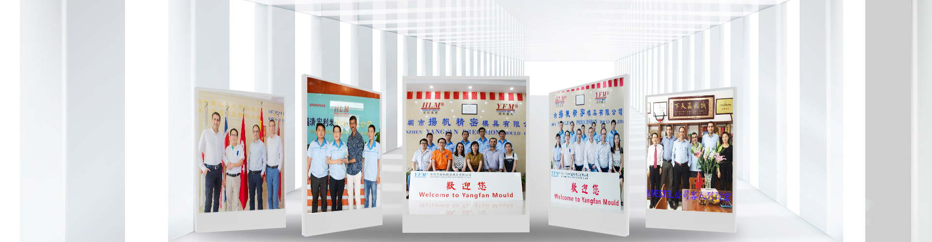 ShenZhen YangFan Precision Mould Co., Ltd.